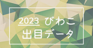ボートレース琵琶湖競艇場の出目データ(2023年)